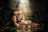 New Born Baby Photo Shoot