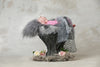 New Born Baby Photo Shoot